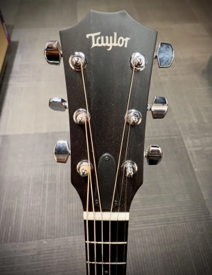 Taylor Guitars - 210CE 2